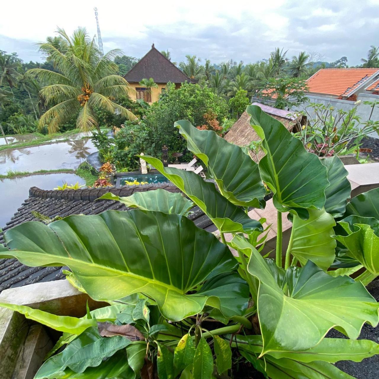 Dukuh Village Villas & Art Tegallalang  Zimmer foto