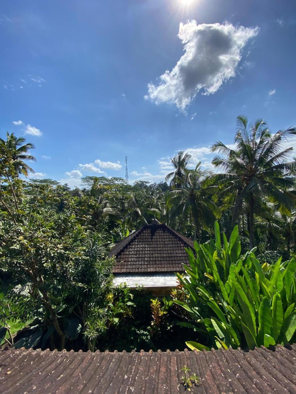 Dukuh Village Villas & Art Tegallalang  Zimmer foto